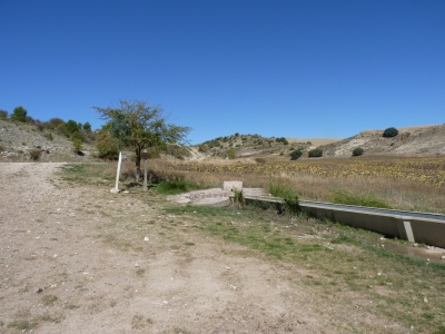 Fuente de la Motilla - imagen 1