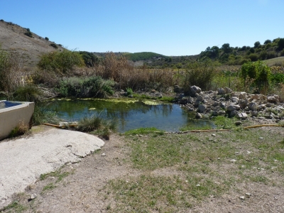 Fuente de la Motilla - imagen 2