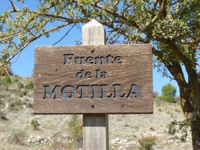 Fuente de la Motilla - imagen 5