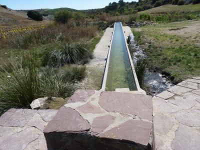 Fuente de la Motilla - imagen 6