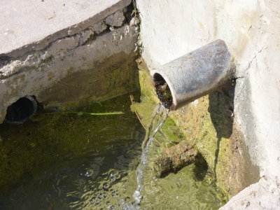 Fuente de la Motilla - imagen 8