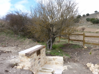 Fuente Tragacete - imagen 4