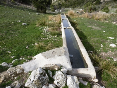 Fuente Villamar - imagen 2
