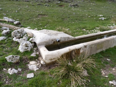 Fuente Villamar - imagen 3