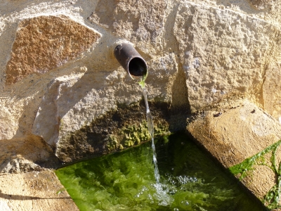 Fuente de Mingalluno - imagen 4