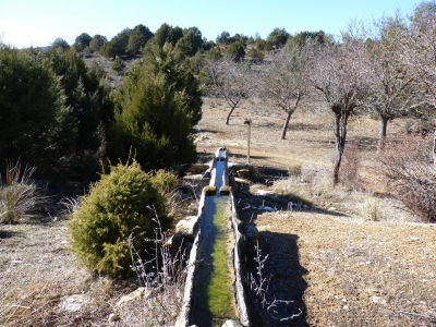 Fuente de Mingalluno - imagen 6