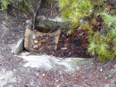 Fuente de Cabeza Gorda - imagen 1
