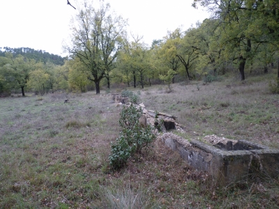 Fuente de Cabeza Gorda - imagen 3