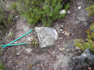 Fuente de Cabeza Gorda - imagen 4