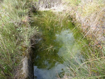 Manantial de Cañada Poyatos - imagen 2