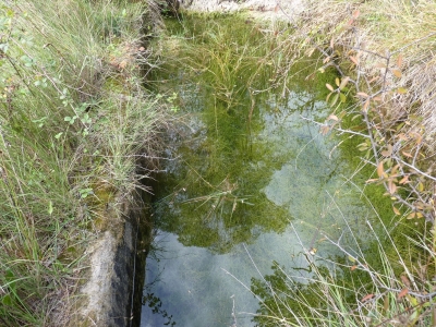 Manantial de Cañada Poyatos - imagen 3