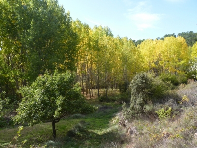 Manantial de Cañada Poyatos - imagen 4