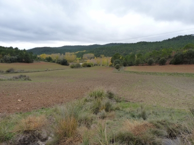Manantial del Pozo de las Morcellas - imagen 5
