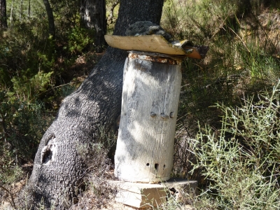 Manantial del Vallejo la Colmena - imagen 6
