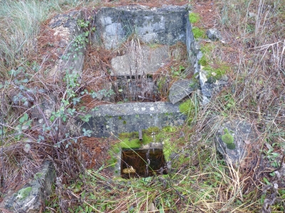Fuente del Palo - imagen 1