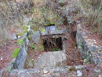 Fuente del Palo - imagen 2