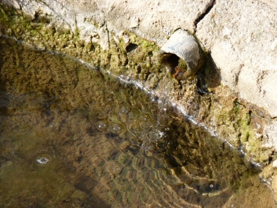 Fuente de las Pozas II - imagen 2