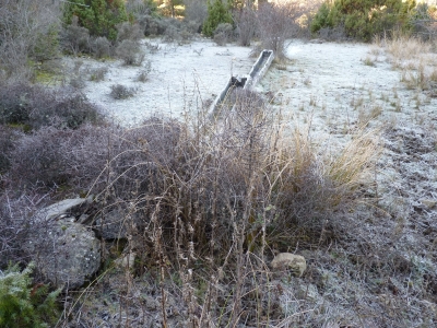 Fuente del Tío Colás - imagen 1