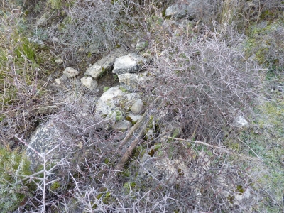 Fuente del Tío Colás - imagen 4