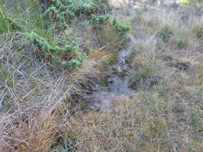 Fuente del Tío Zorras - imagen 1