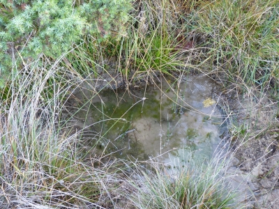 Fuente del Tío Zorras - imagen 3