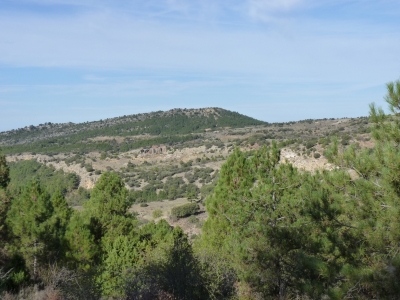 Fuente del Tío Zorras - imagen 5