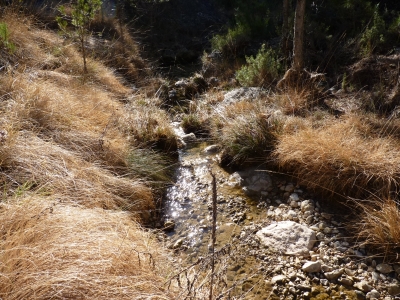 Fuente de la Zarzamora - imagen 6