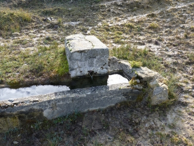 Fuente del Acebillo - imagen 2