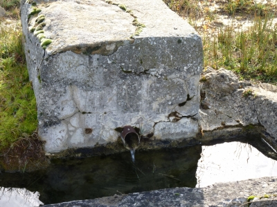 Fuente del Acebillo - imagen 3