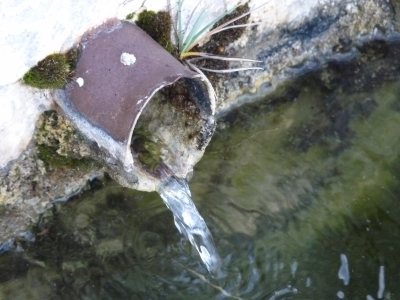 Fuente del Acebillo - imagen 4