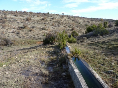 Fuente del Acebillo - imagen 5