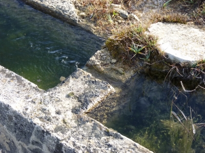 Fuente del Acebillo - imagen 6