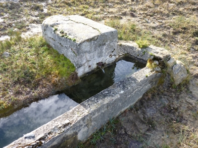 Fuente del Acebillo - imagen 7