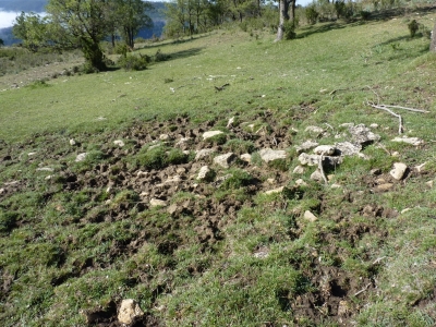 Fuente de los Ajos - imagen 1