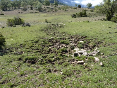Fuente de los Ajos - imagen 2