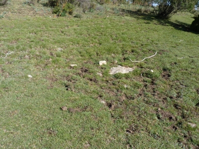 Fuente de los Ajos - imagen 6