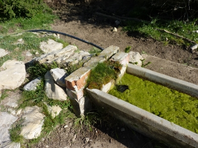 Fuente de la Chaparra - imagen 2