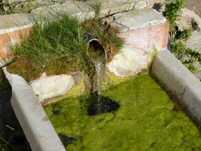 Fuente de la Chaparra - imagen 3