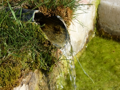 Fuente de la Chaparra - imagen 4
