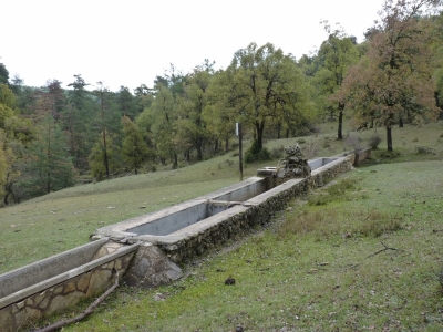 Fuente de las Cuatro Losas - imagen 7