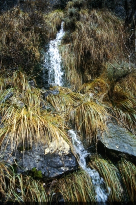 fuente la Cueva el Espinar - imagen 1