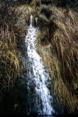fuente la Cueva el Espinar - imagen 2