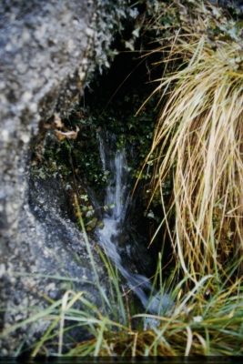 fuente la Cueva el Espinar - imagen 3