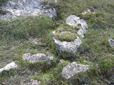 Fuente del Culo - imagen 2