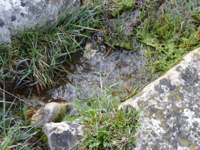 Fuente del Culo - imagen 4