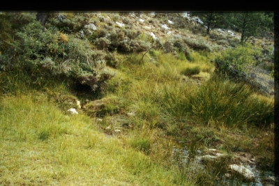Fuente de la Huerta - imagen 1