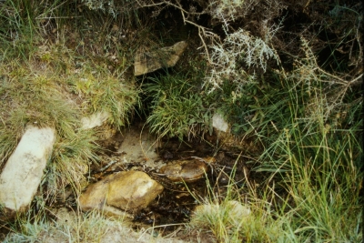 Fuente de la Huerta - imagen 2