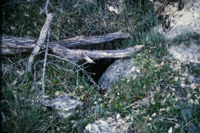 Fuente la Losa - imagen 2