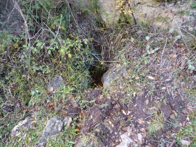 Fuente la Losa - imagen 4