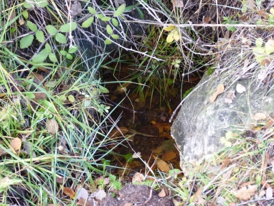 Fuente la Losa - imagen 5